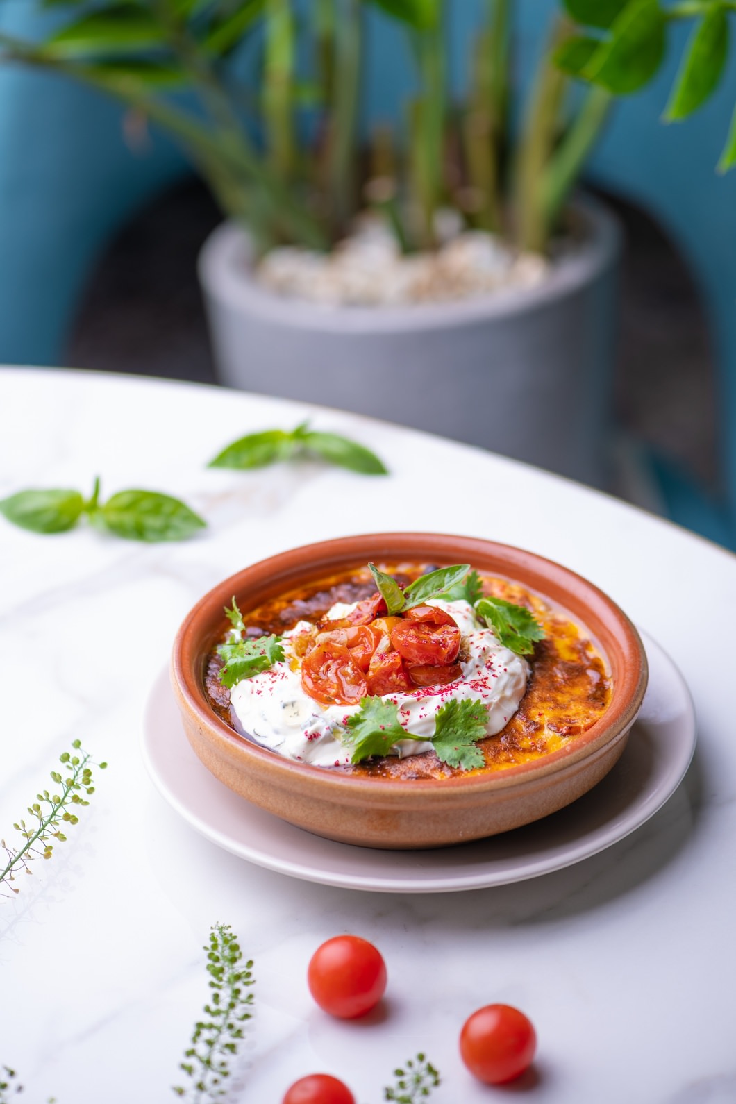 Shakshouka